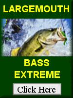 Bass Fishing Tips by the Pros